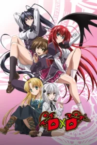 Старшая школа DxD